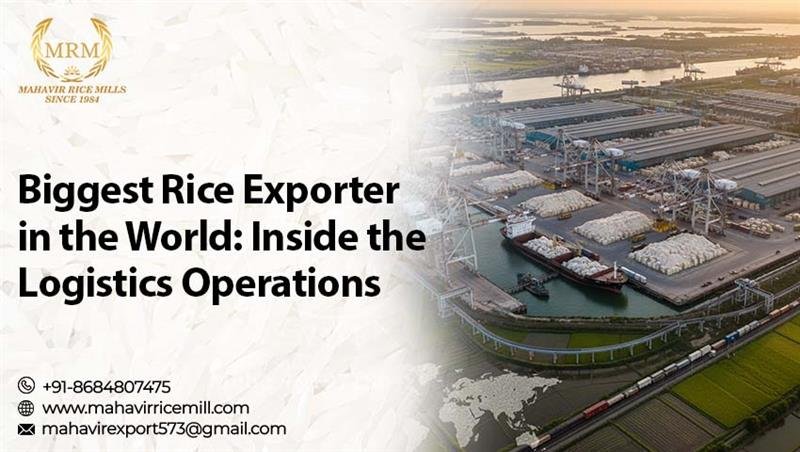 Biggest Rice Exporter in the World: Inside the Logistics Operations